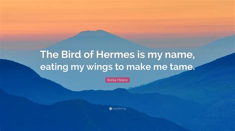 the bird of hermes is my name eating wings